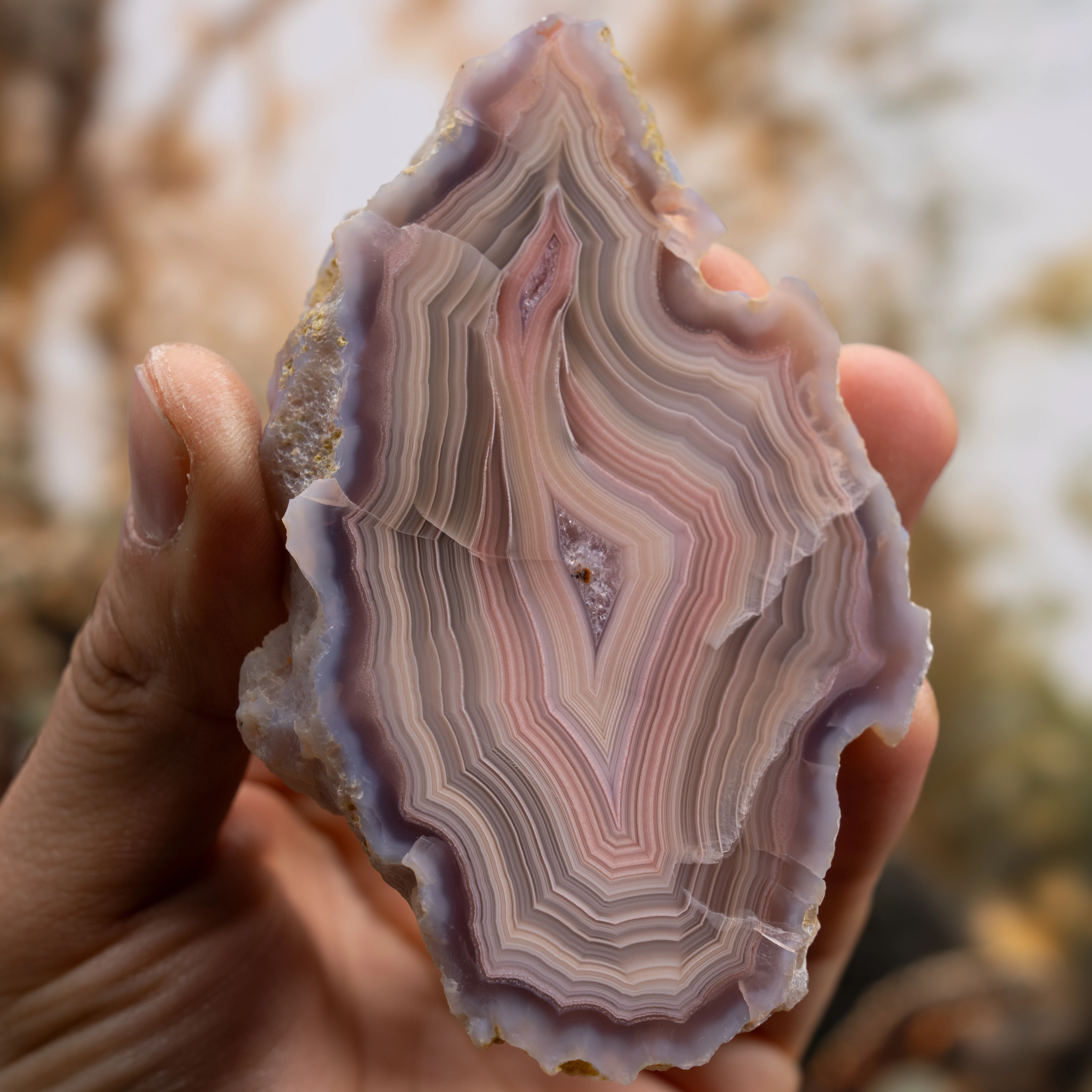 Blush Flame - view 2