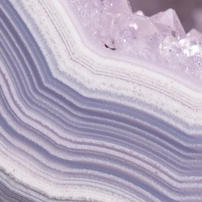 Lavender Vault - view 4