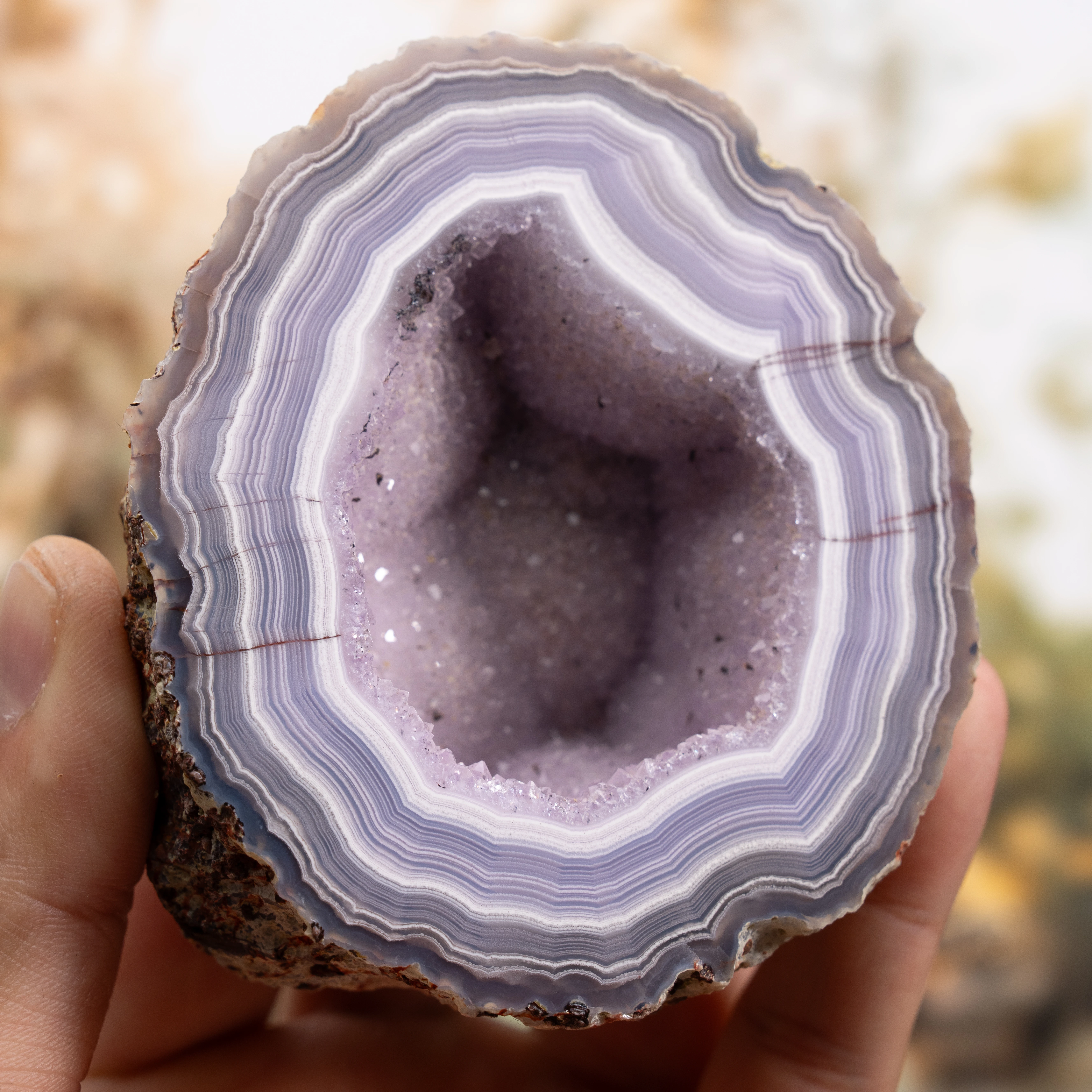 Lavender Vault - view 2