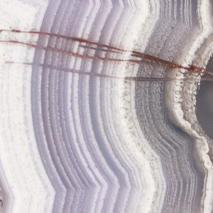Lavender Vault - view 3