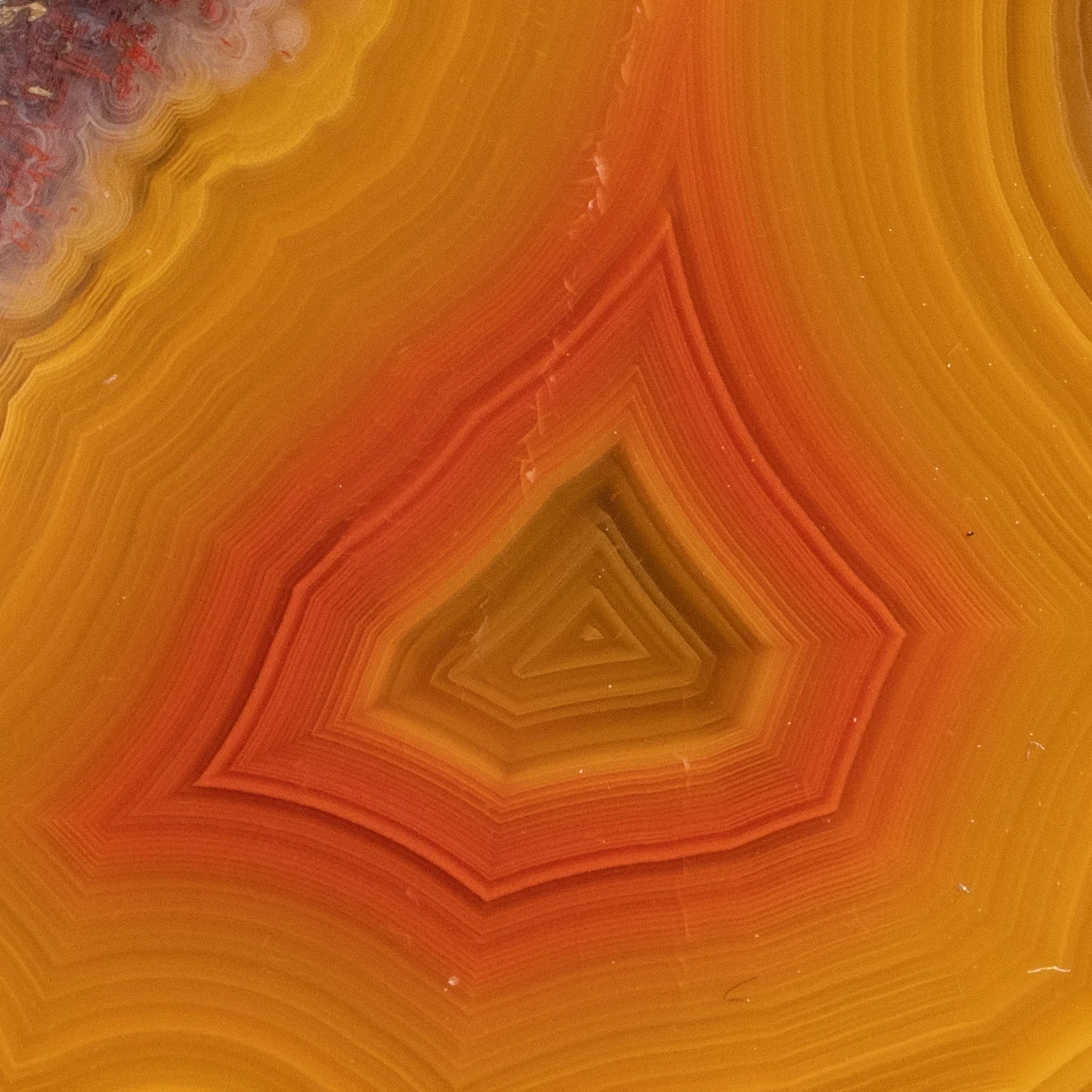 Gilded Heartfire - view 3