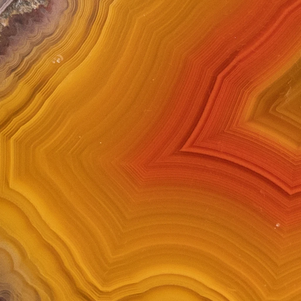 Gilded Heartfire - view 5