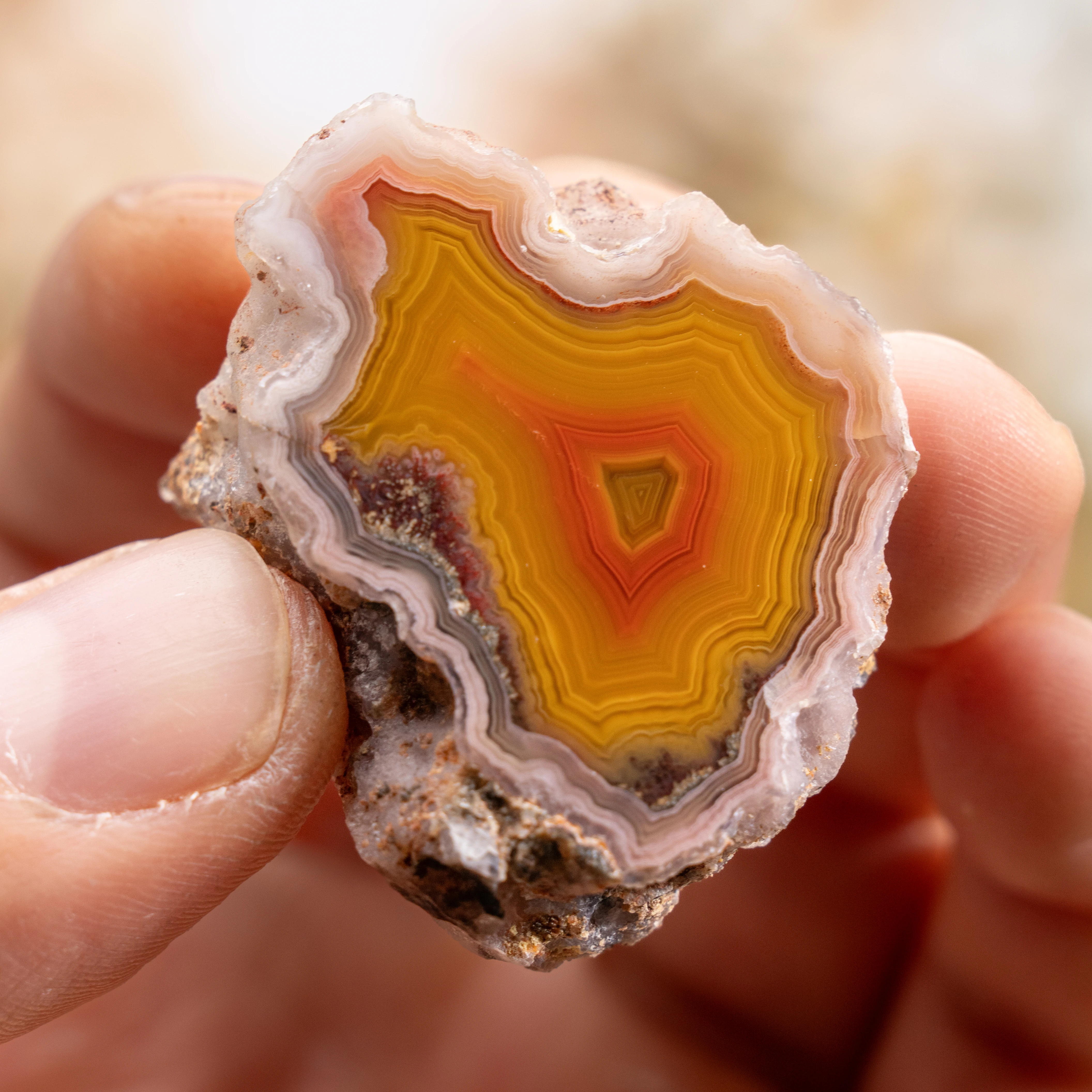 Gilded Heartfire - view 2