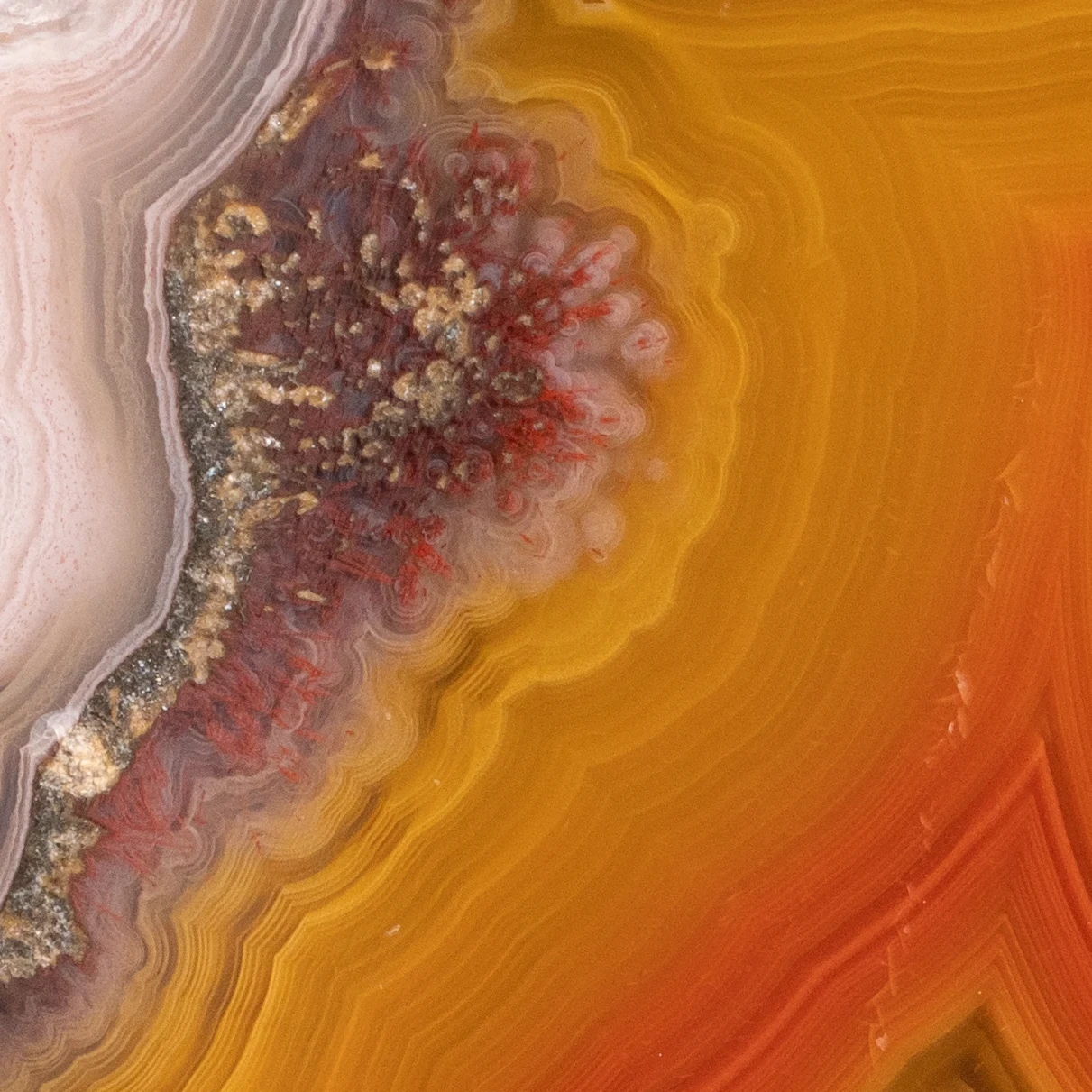 Gilded Heartfire - view 4