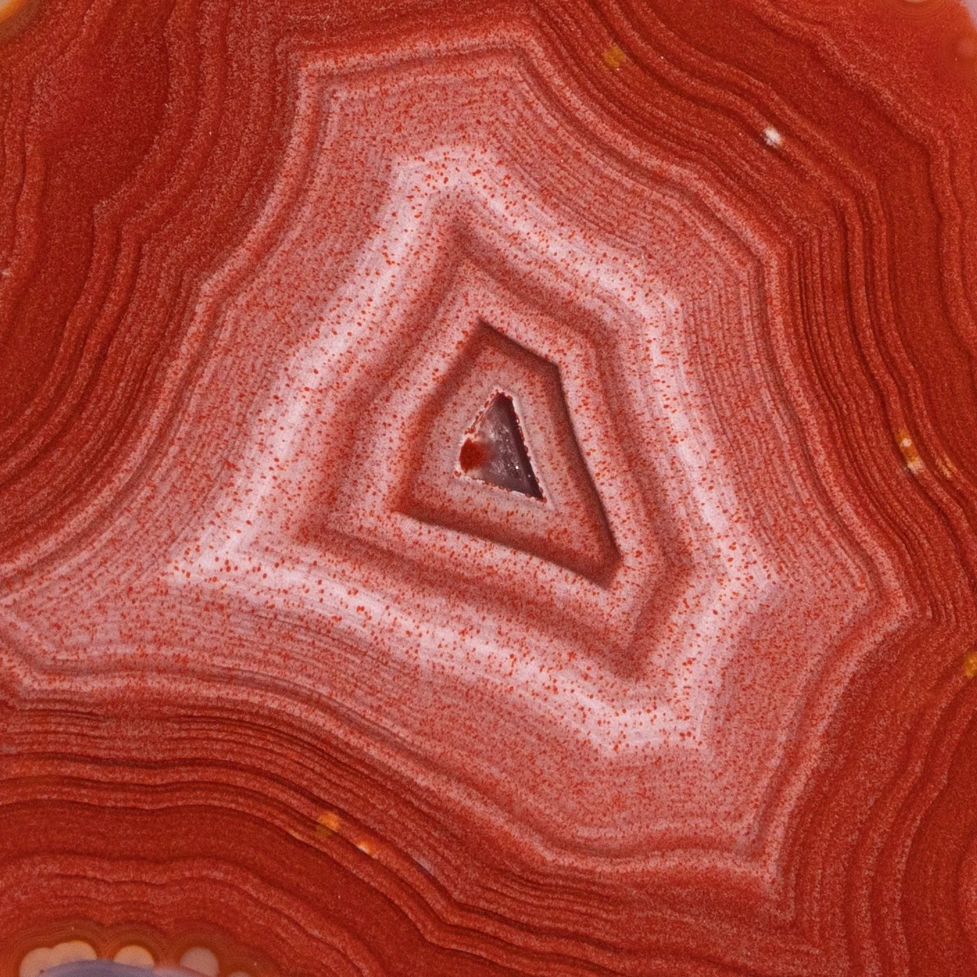 Forge Flare - view 2