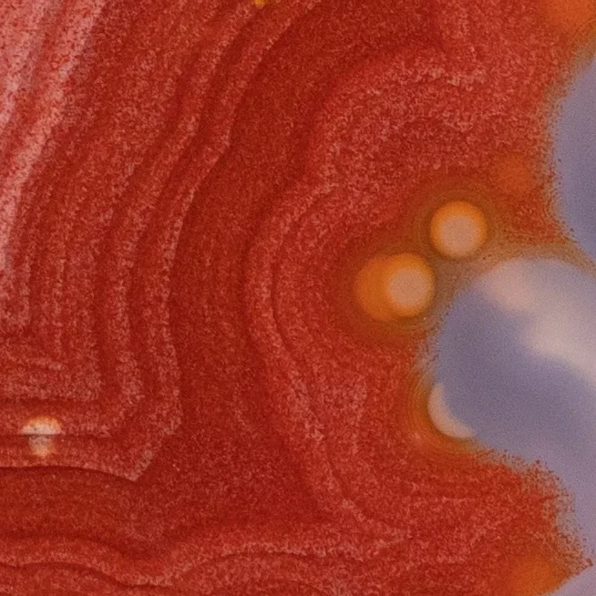Forge Flare - view 5
