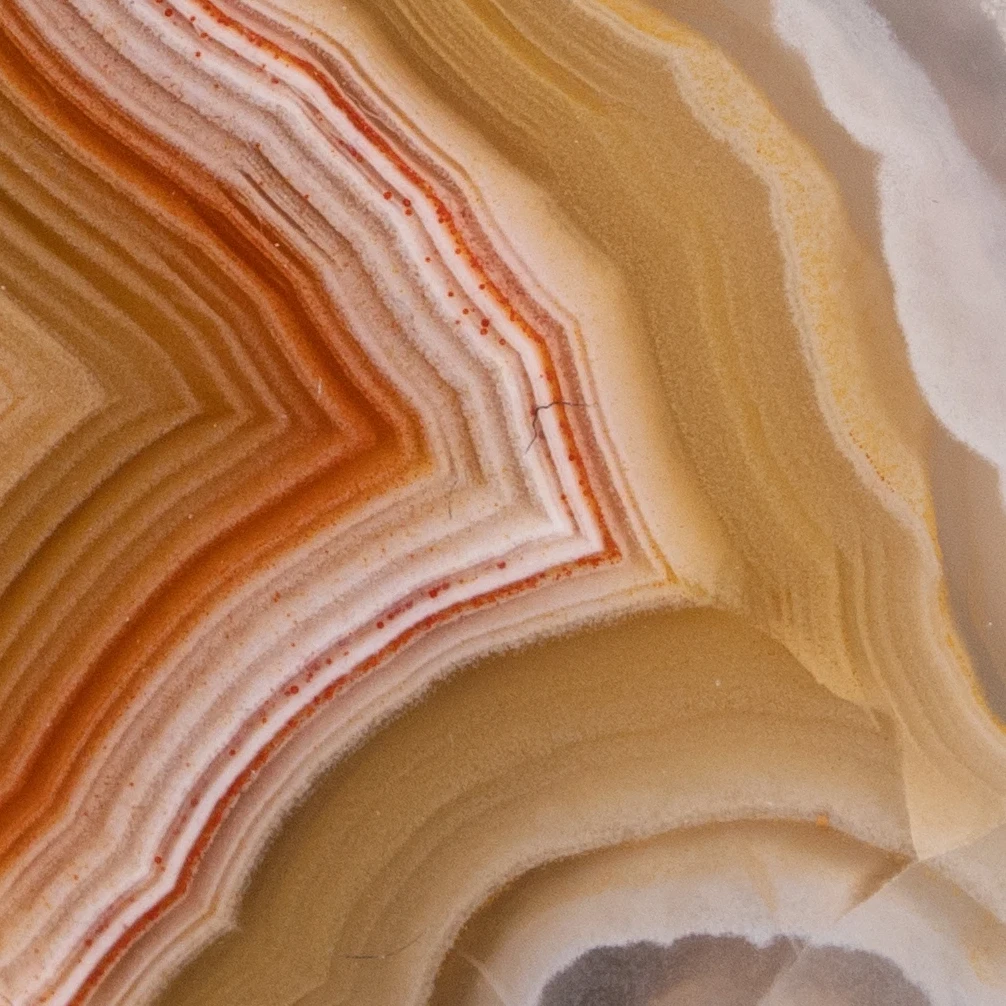 Crust Trace - view 4
