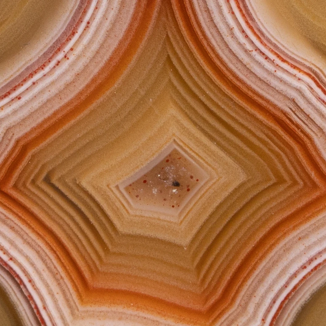 Crust Trace - view 3