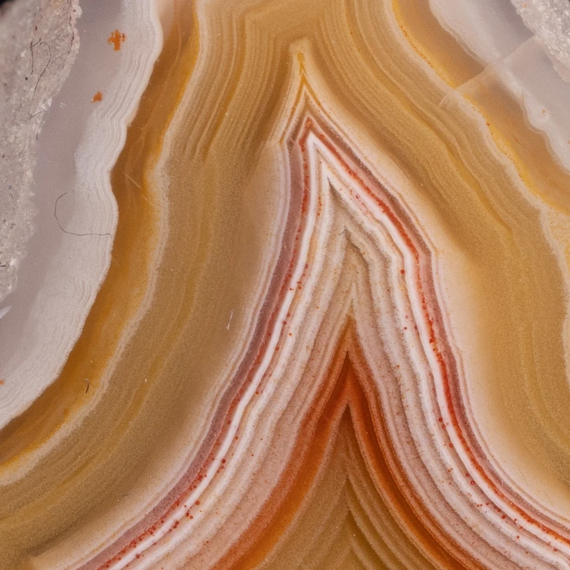 Crust Trace - view 5