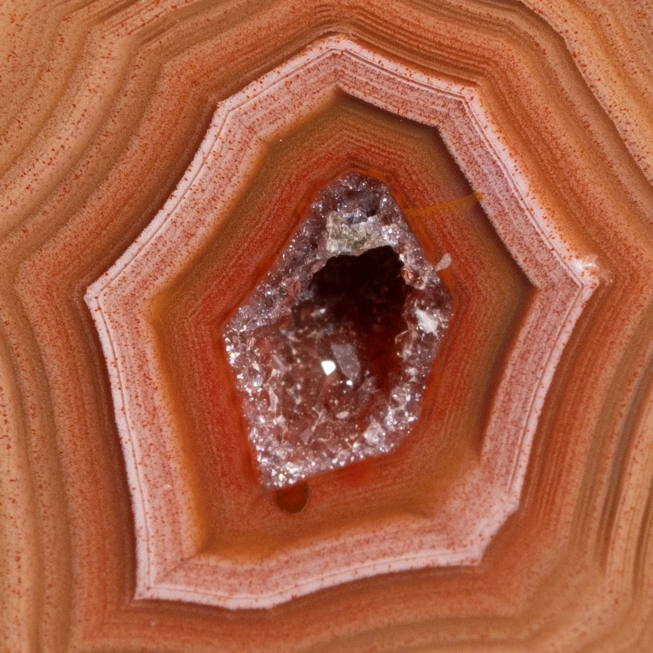 Pulse Crown - view 3