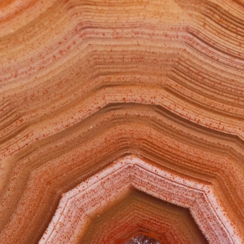Pulse Crown - view 4