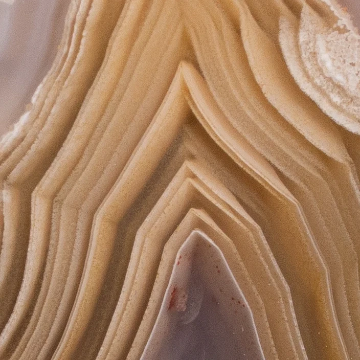 Fusion Forge - view 5