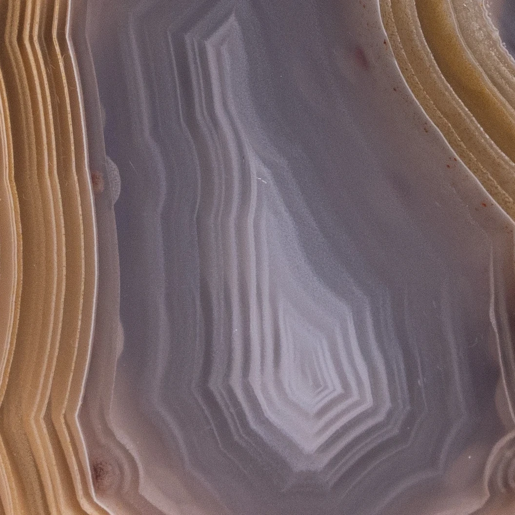 Fusion Forge - view 3