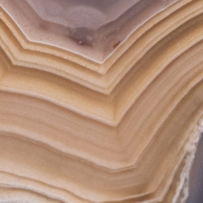 Fusion Forge - view 4