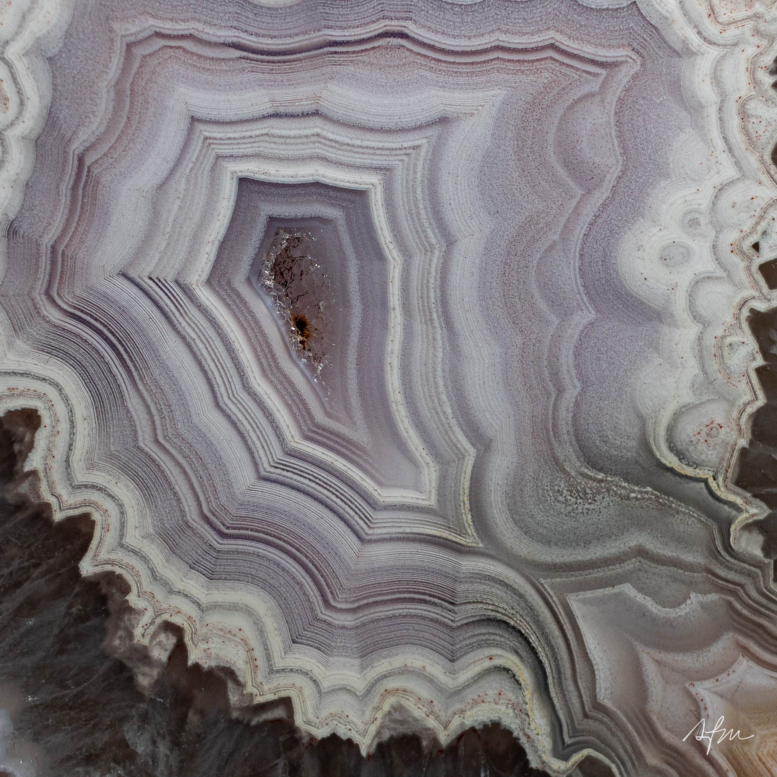 Encircled Clarity - view 3