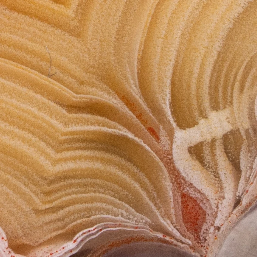 Yellow Strata - view 5