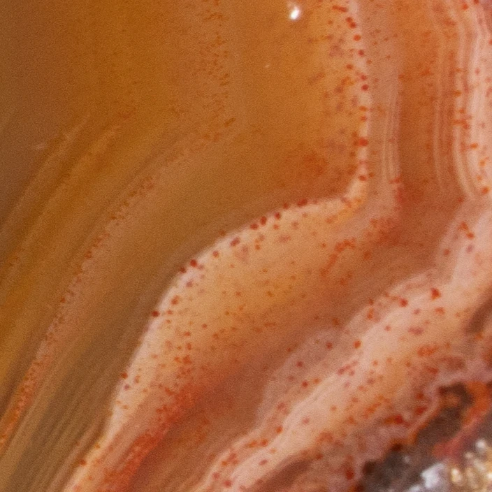 Red Edge - view 4