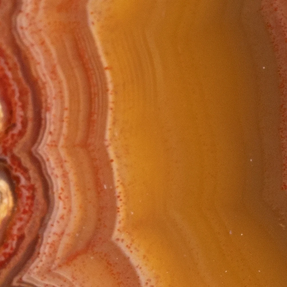 Red Edge - view 5
