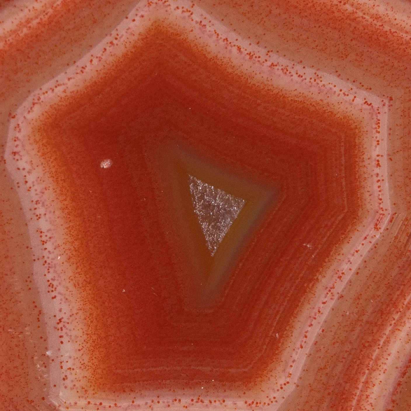 Red Edge - view 3