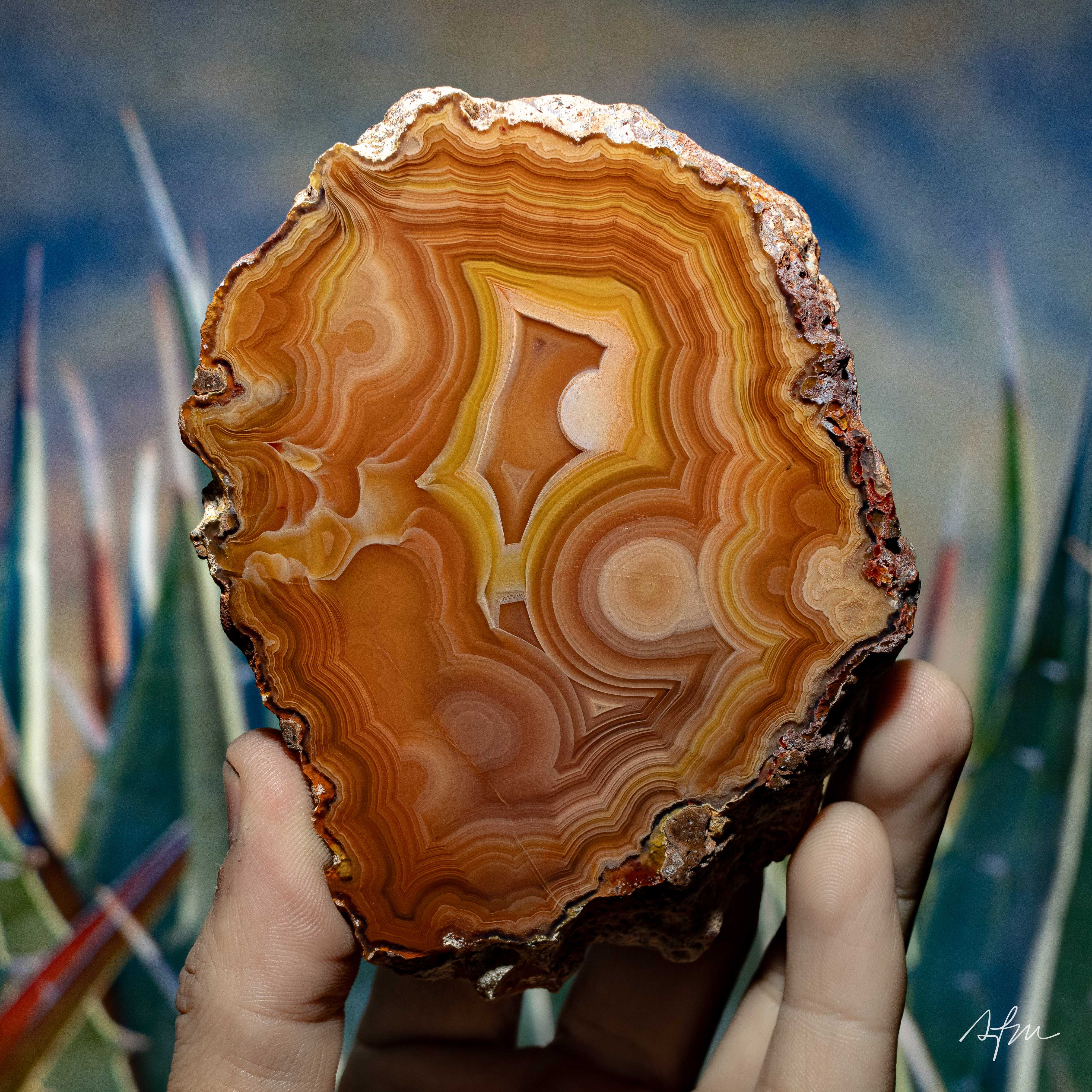 Marmalade - view 2