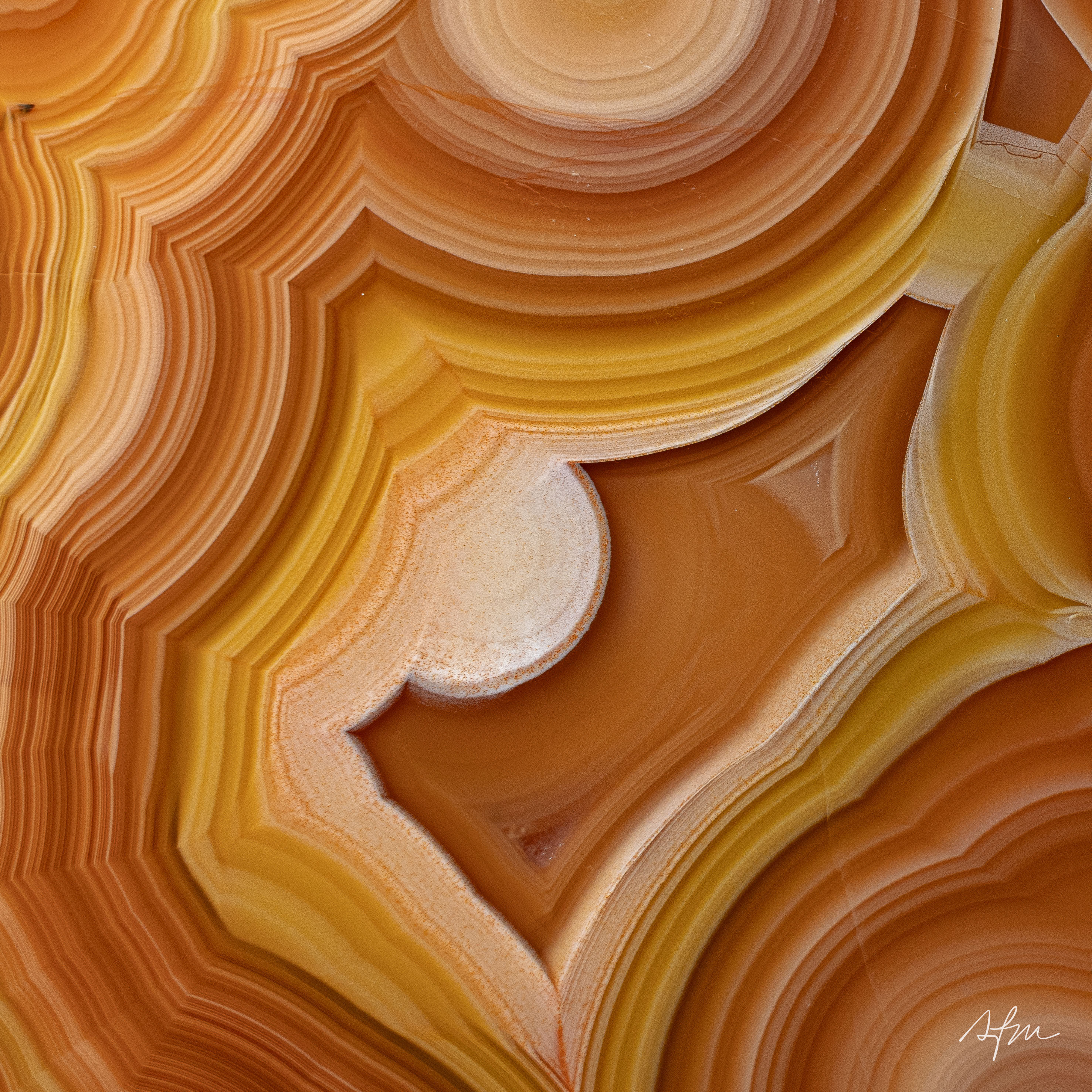 Marmalade - view 3
