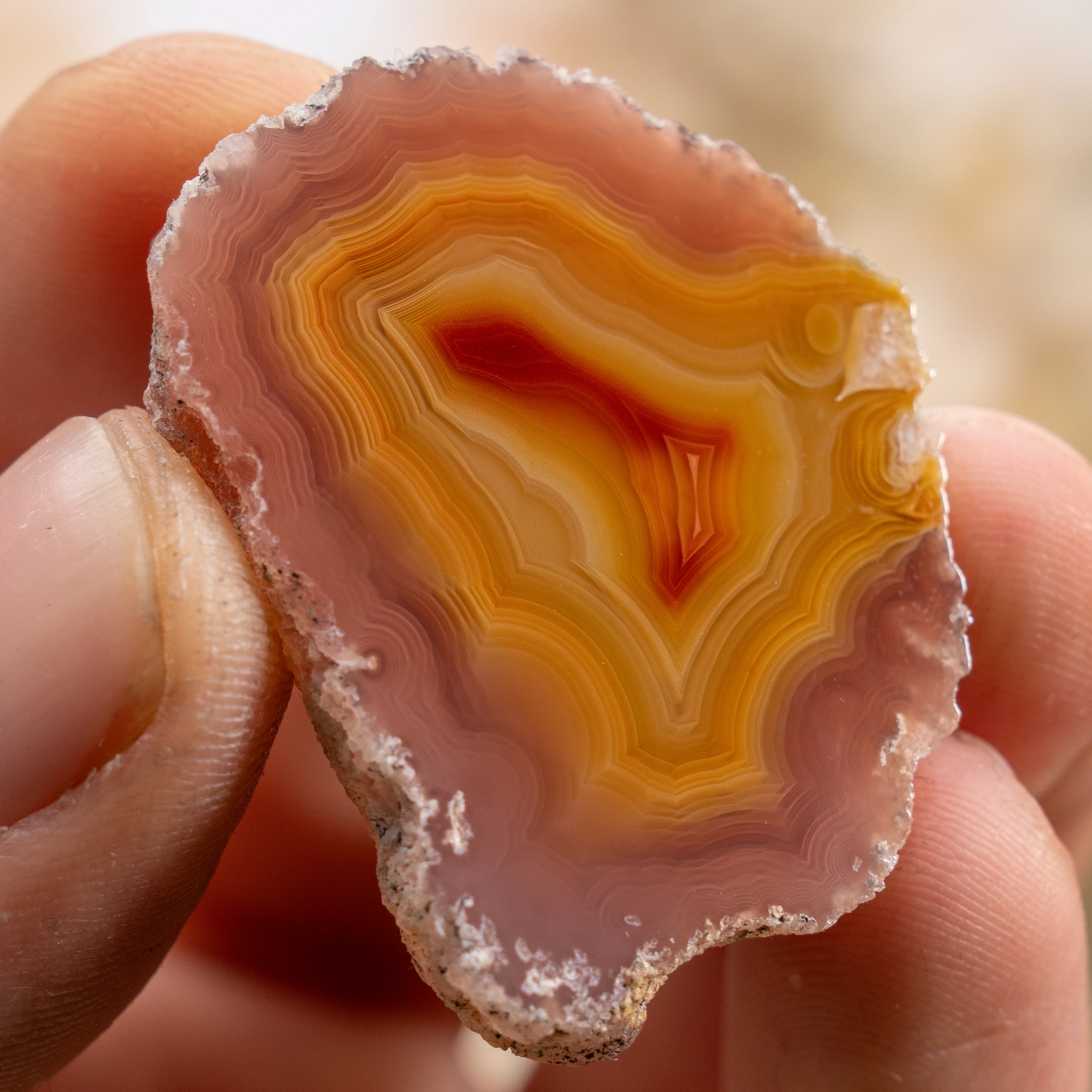 Cradle Strata - view 2