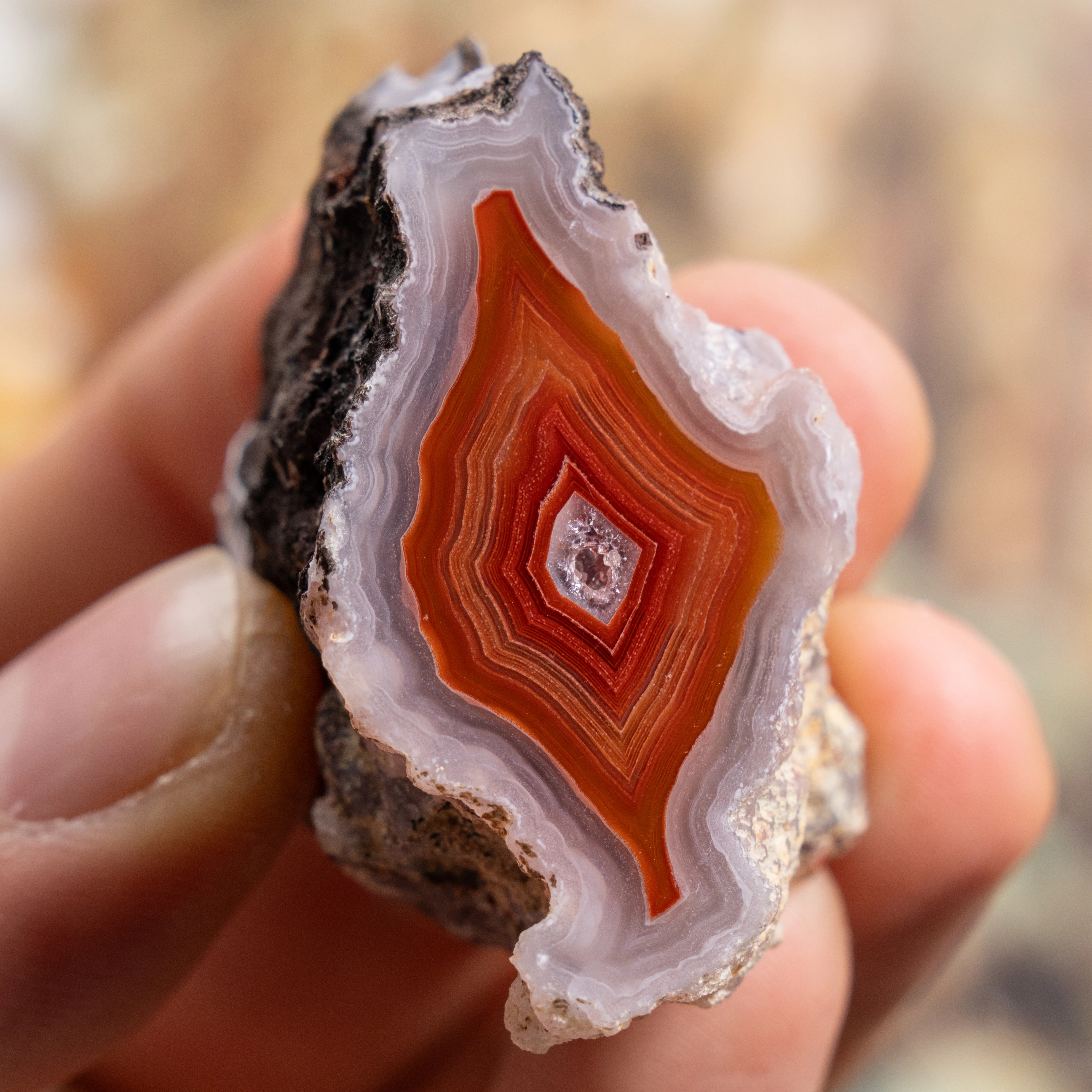 Quantum Fusion - view 2