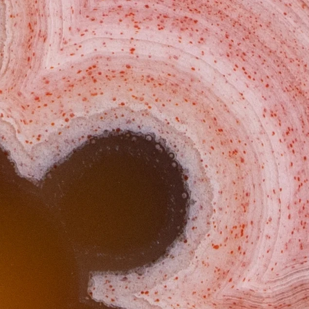 Celestial Pink - view 5