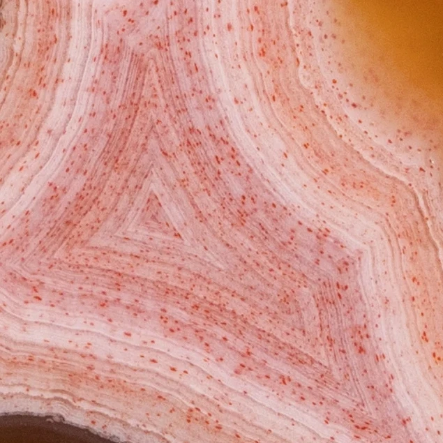 Celestial Pink - view 4