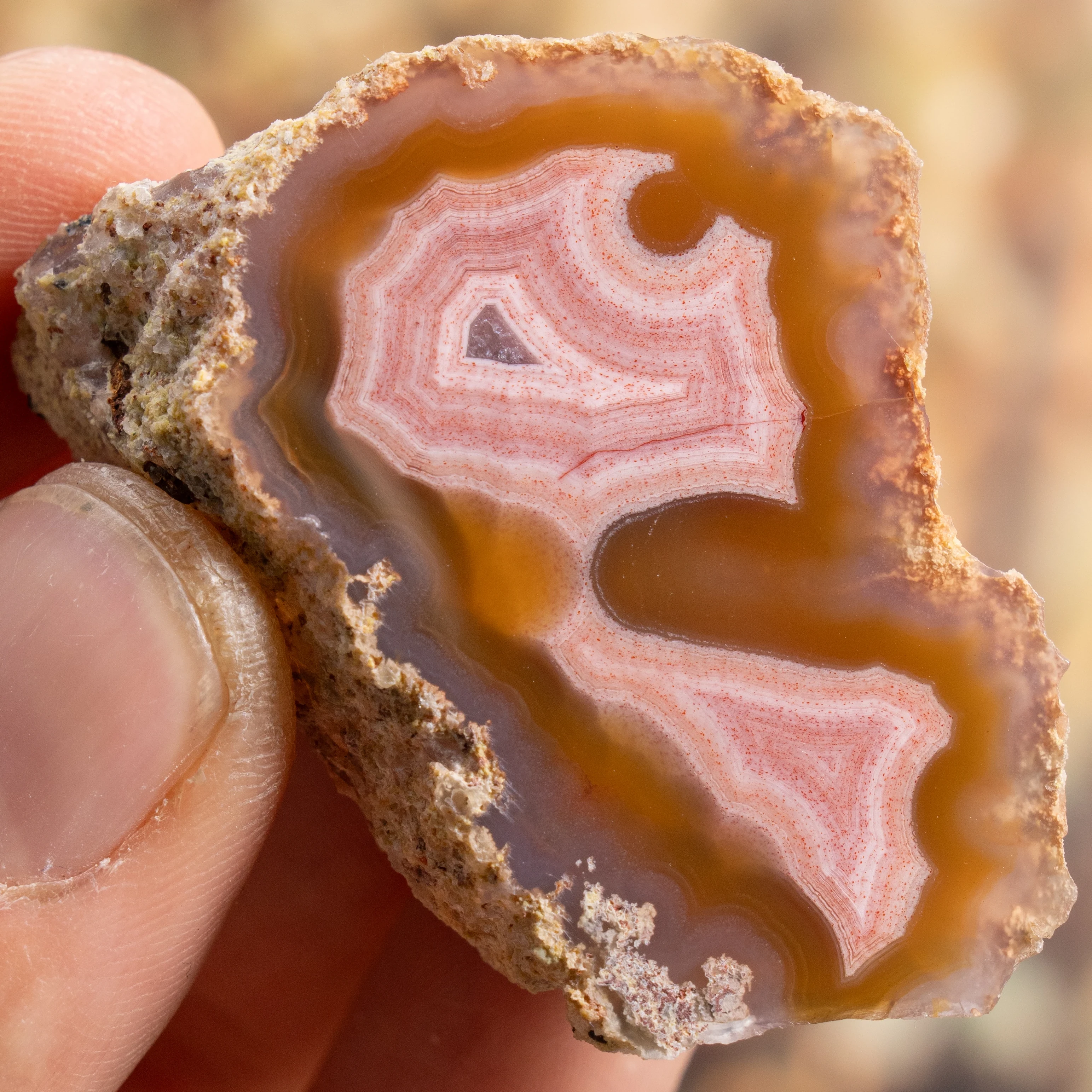 Celestial Pink - view 2