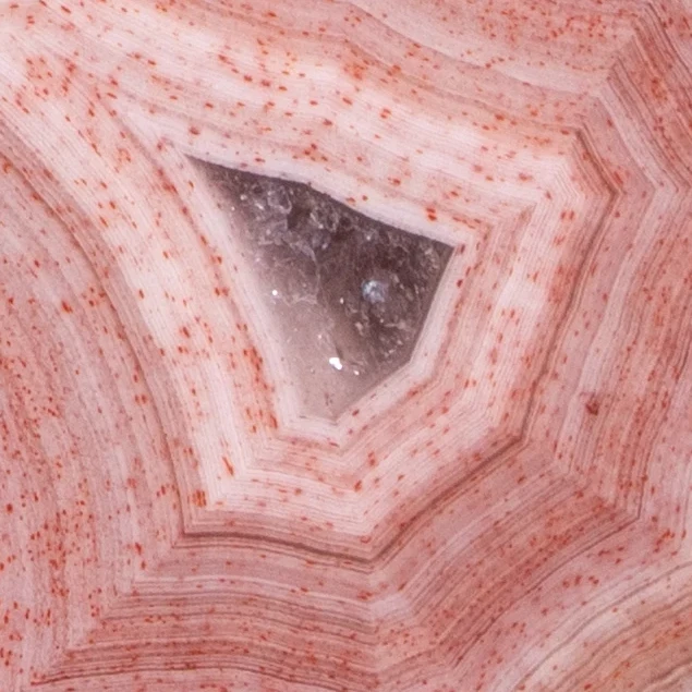 Celestial Pink - view 3