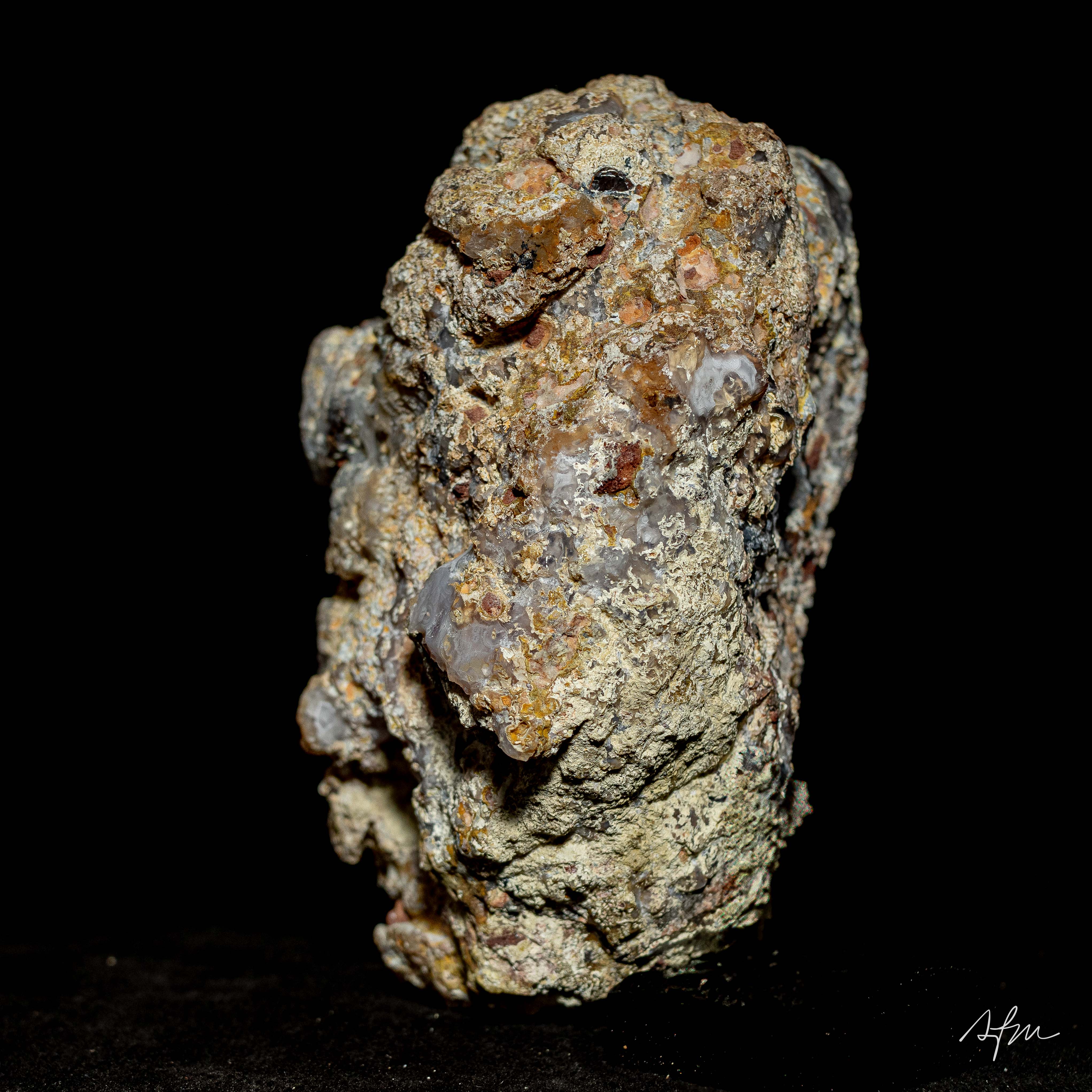 Silken Vein - view 5