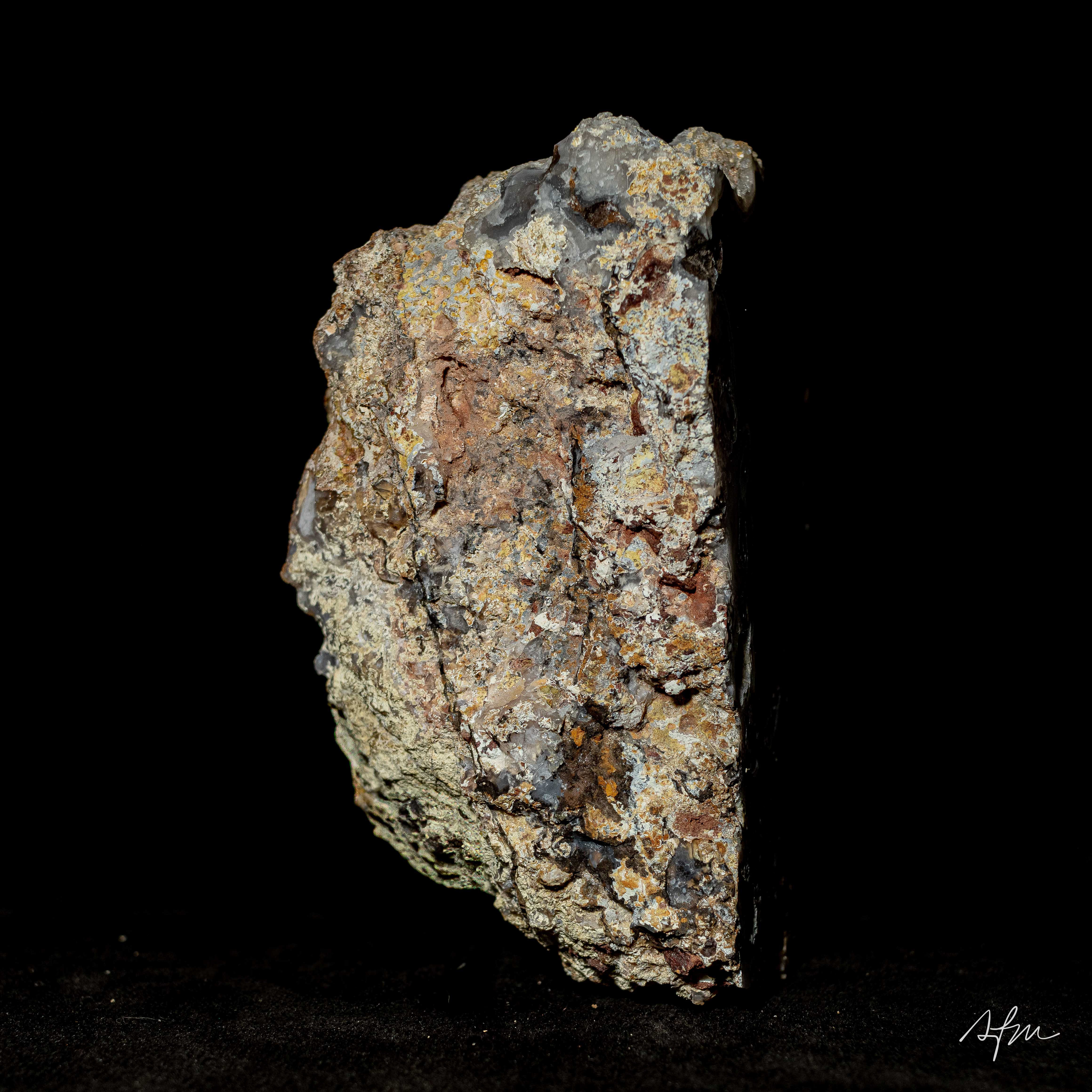 Silken Vein - view 4