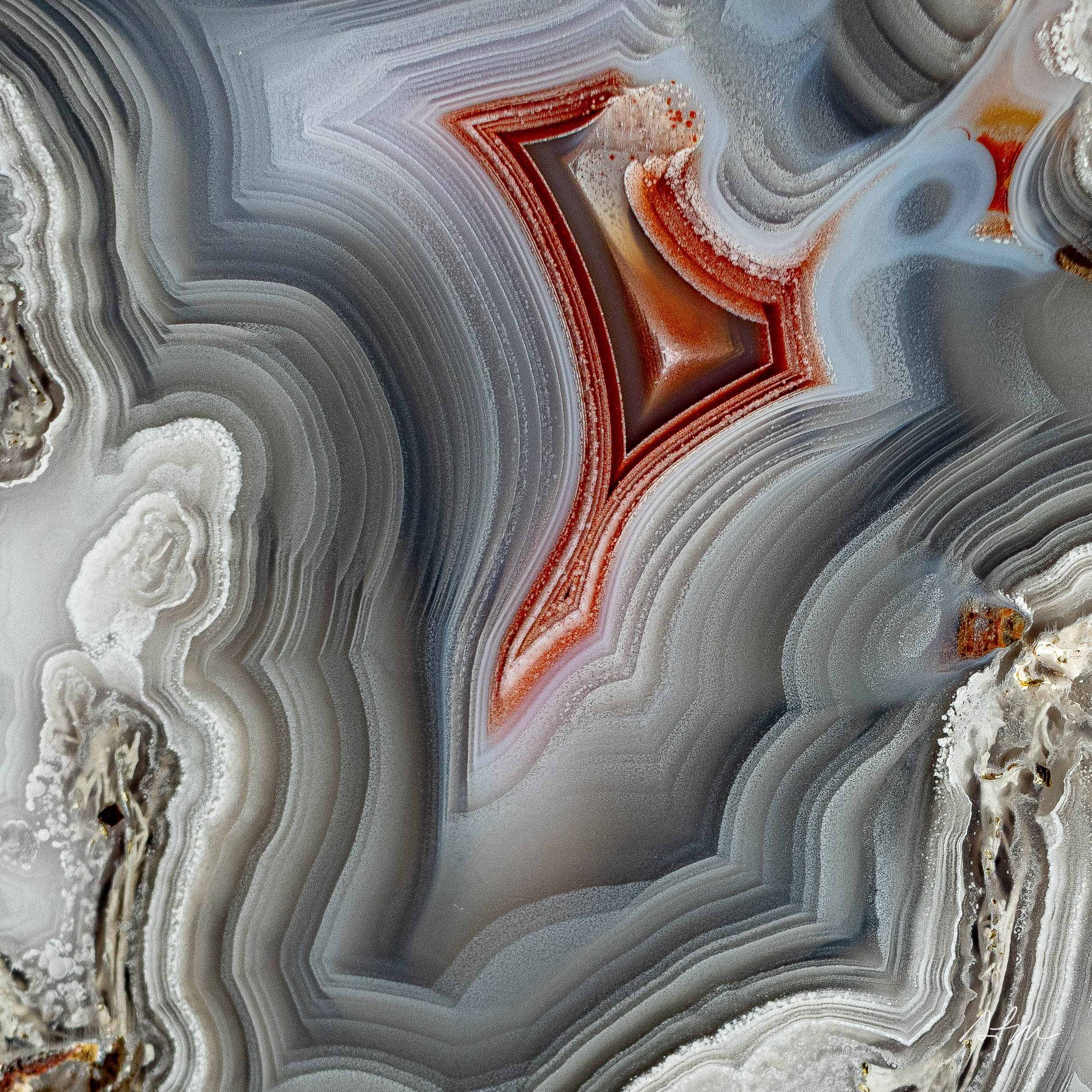 Silken Vein - view 3