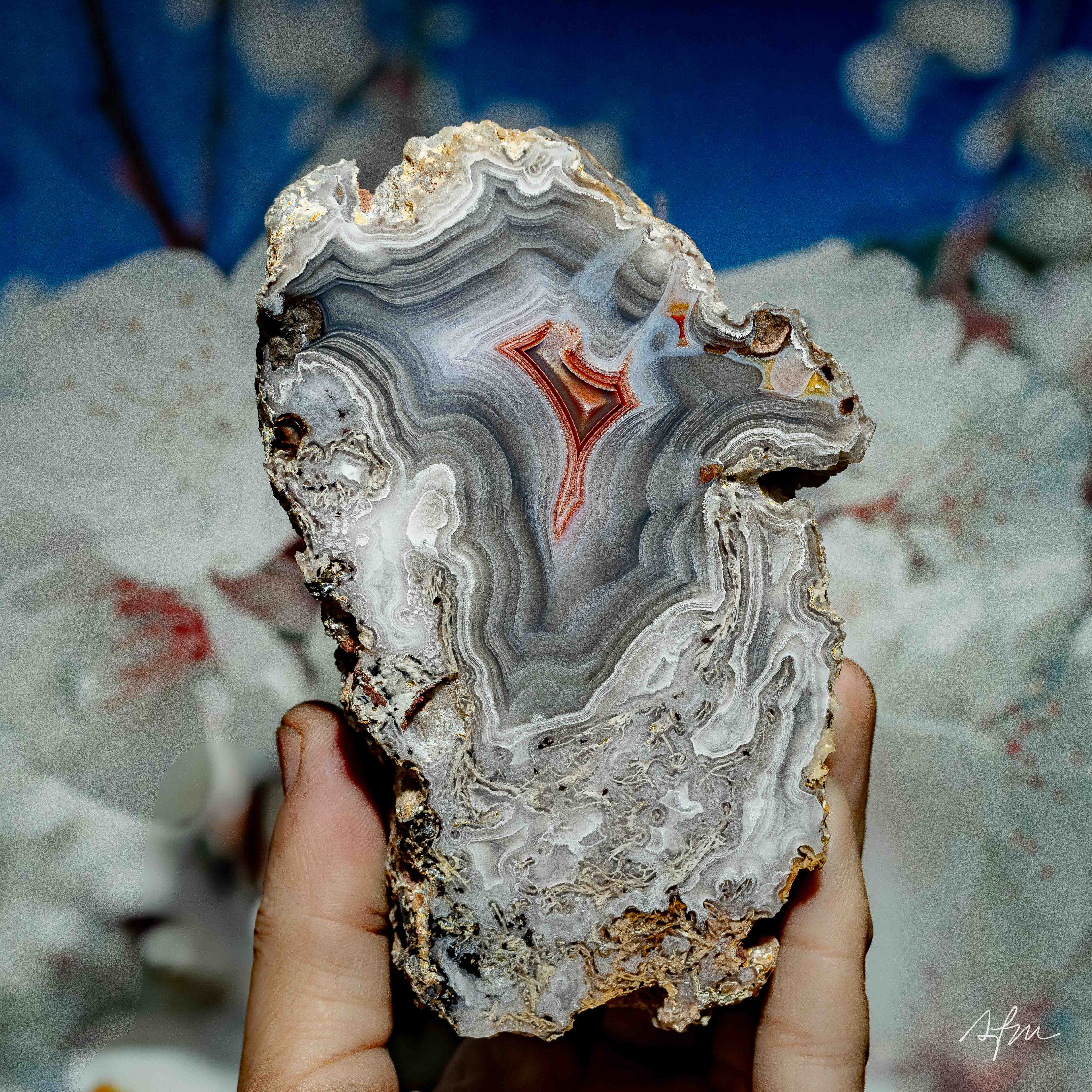 Silken Vein - view 2