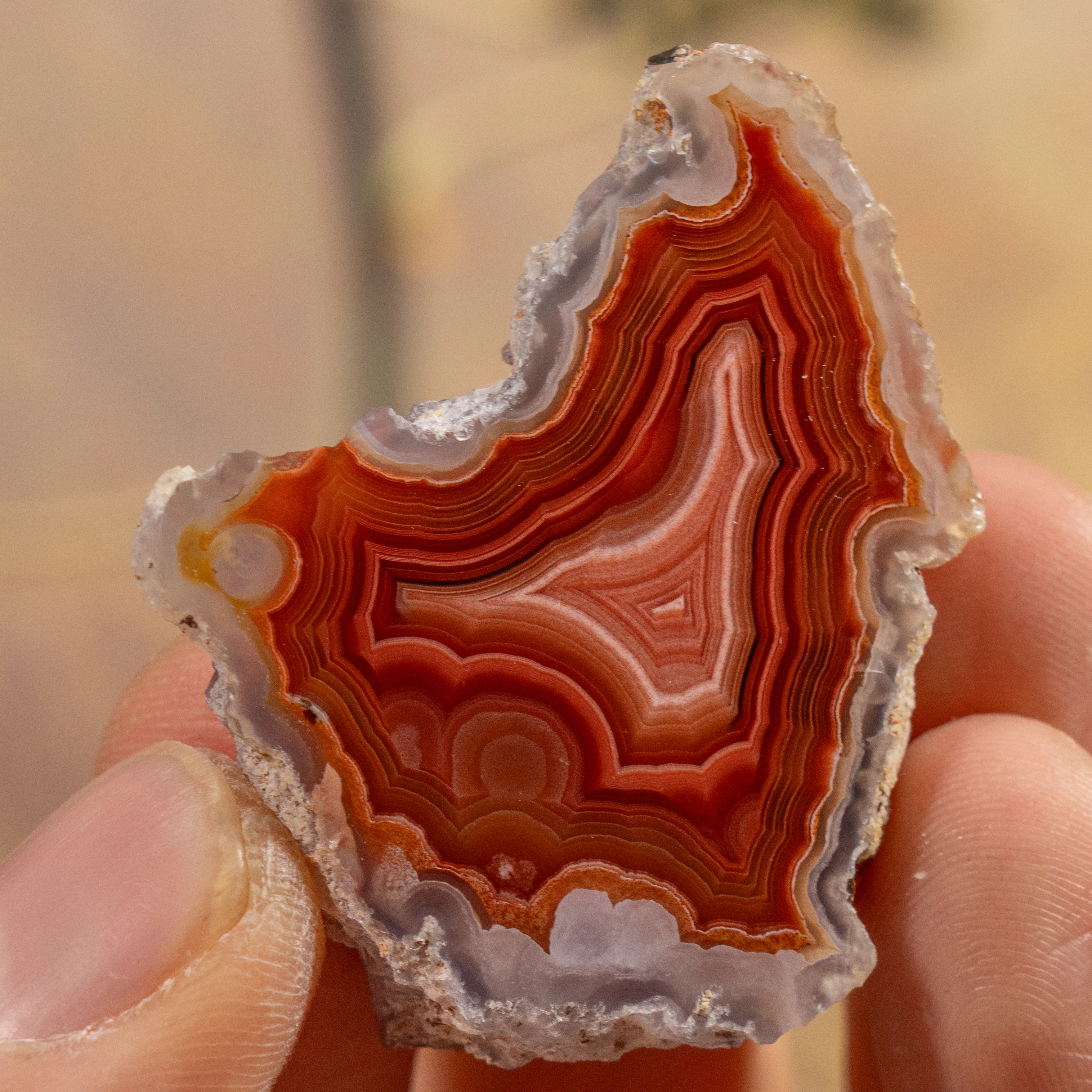 Earthline Geo - view 2