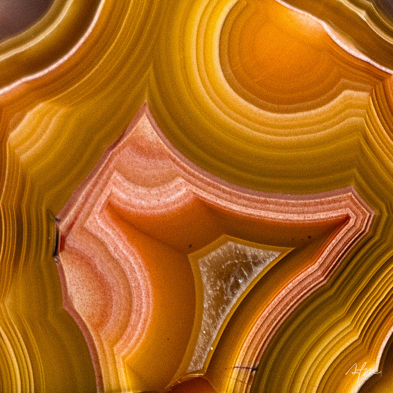 Auric Echoes - view 3