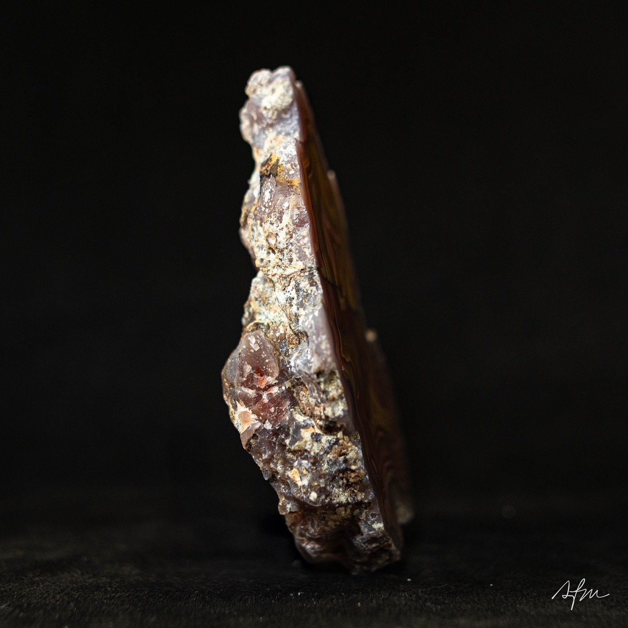 Auric Echoes - view 4