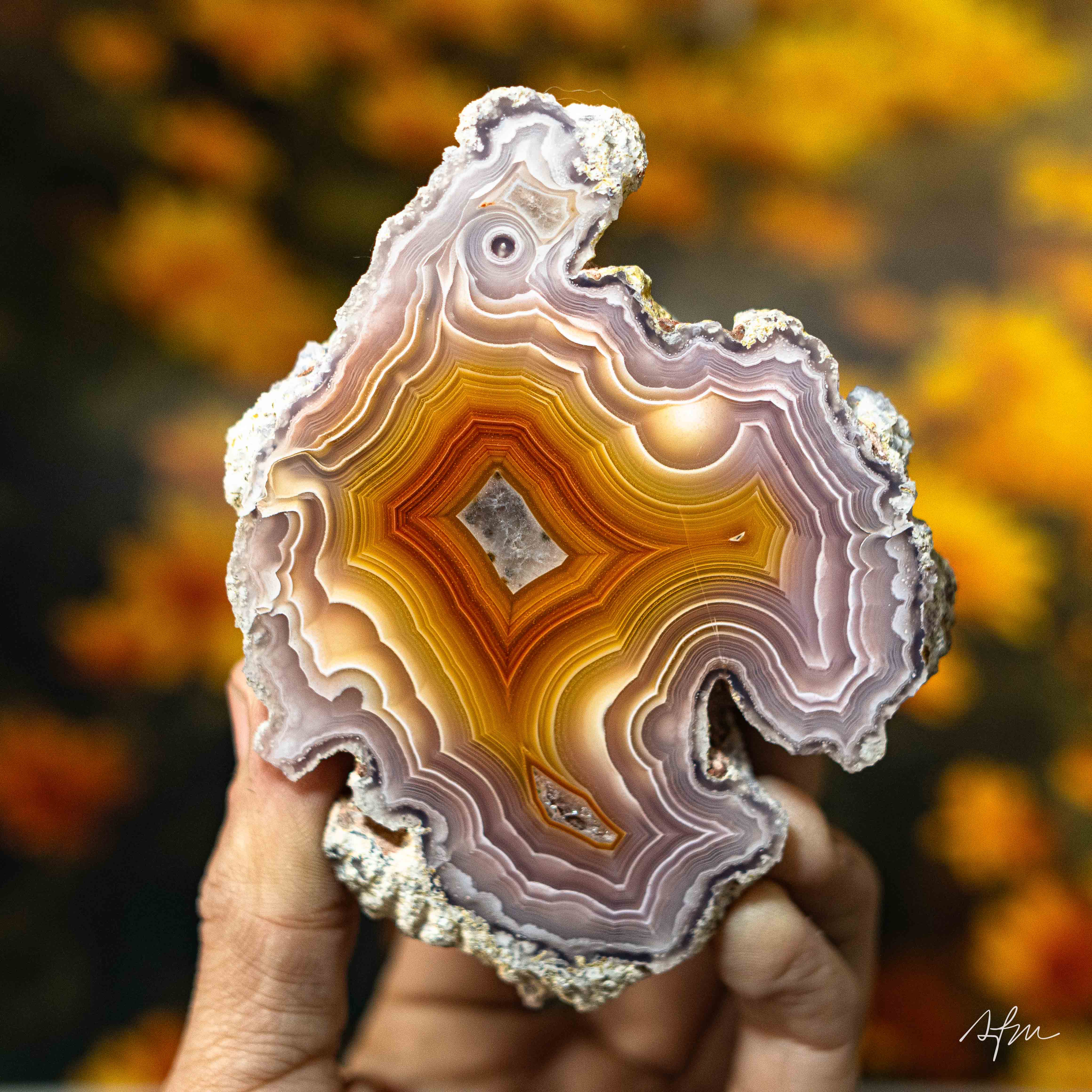 Radiant Gist - view 2