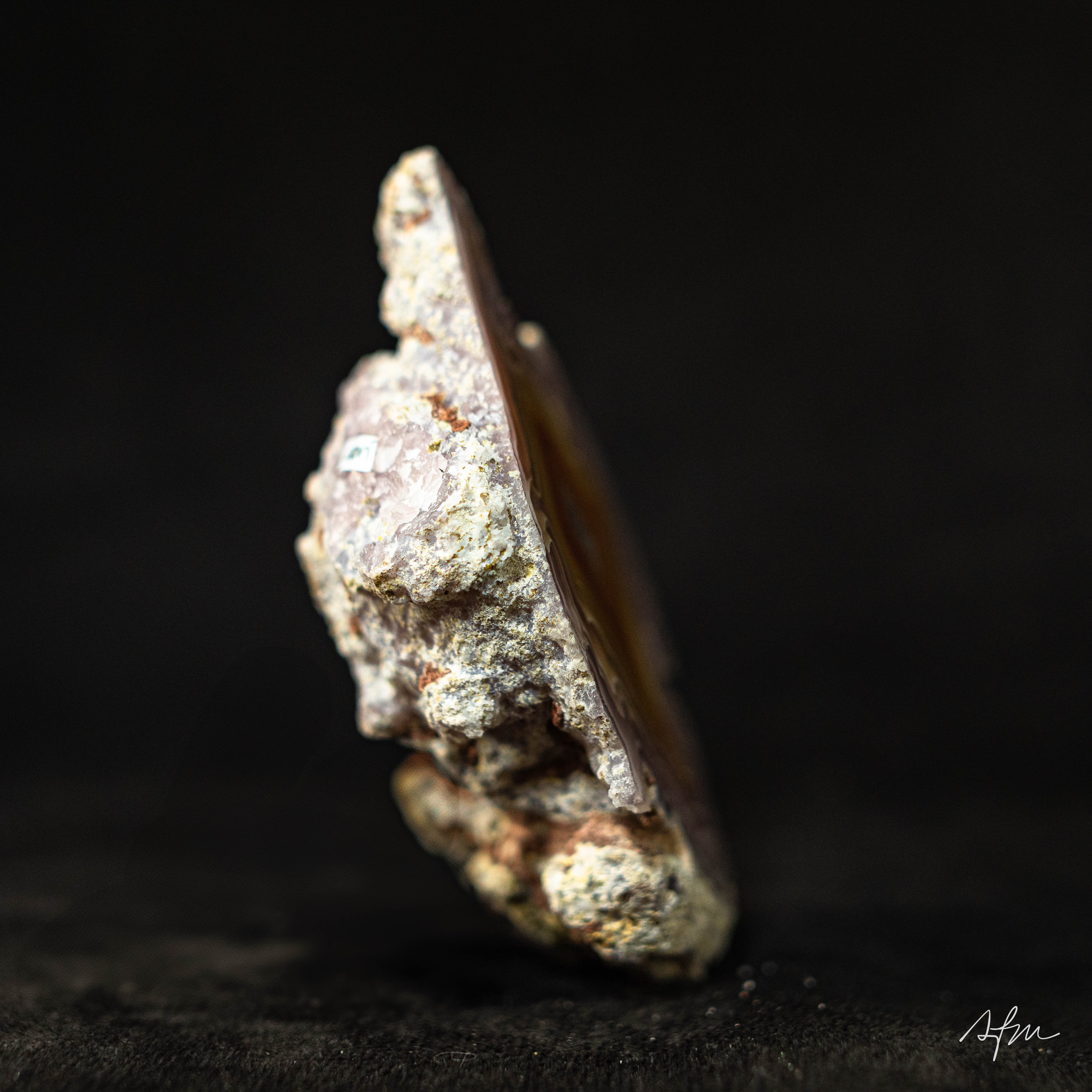 Radiant Gist - view 5