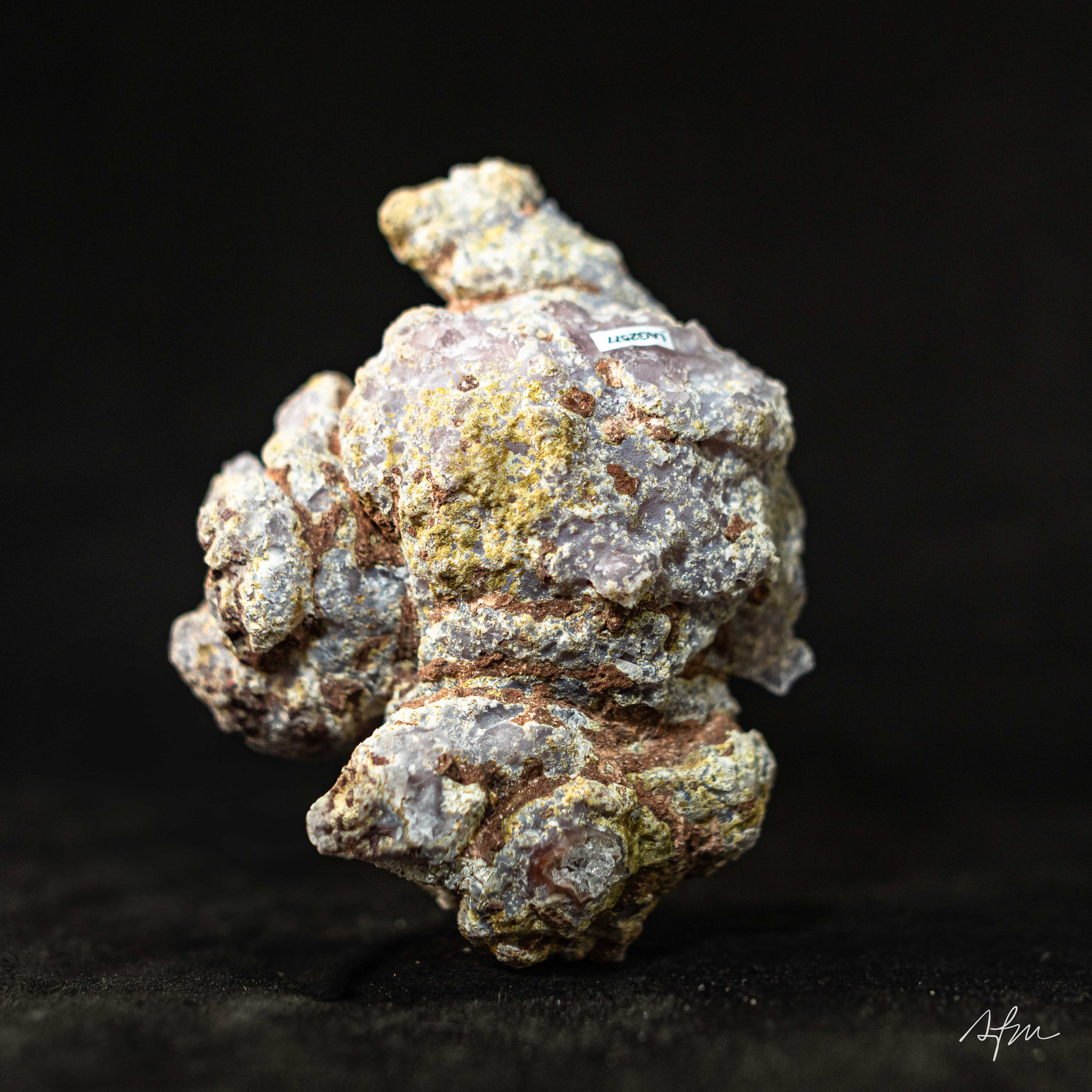 Radiant Gist - view 4