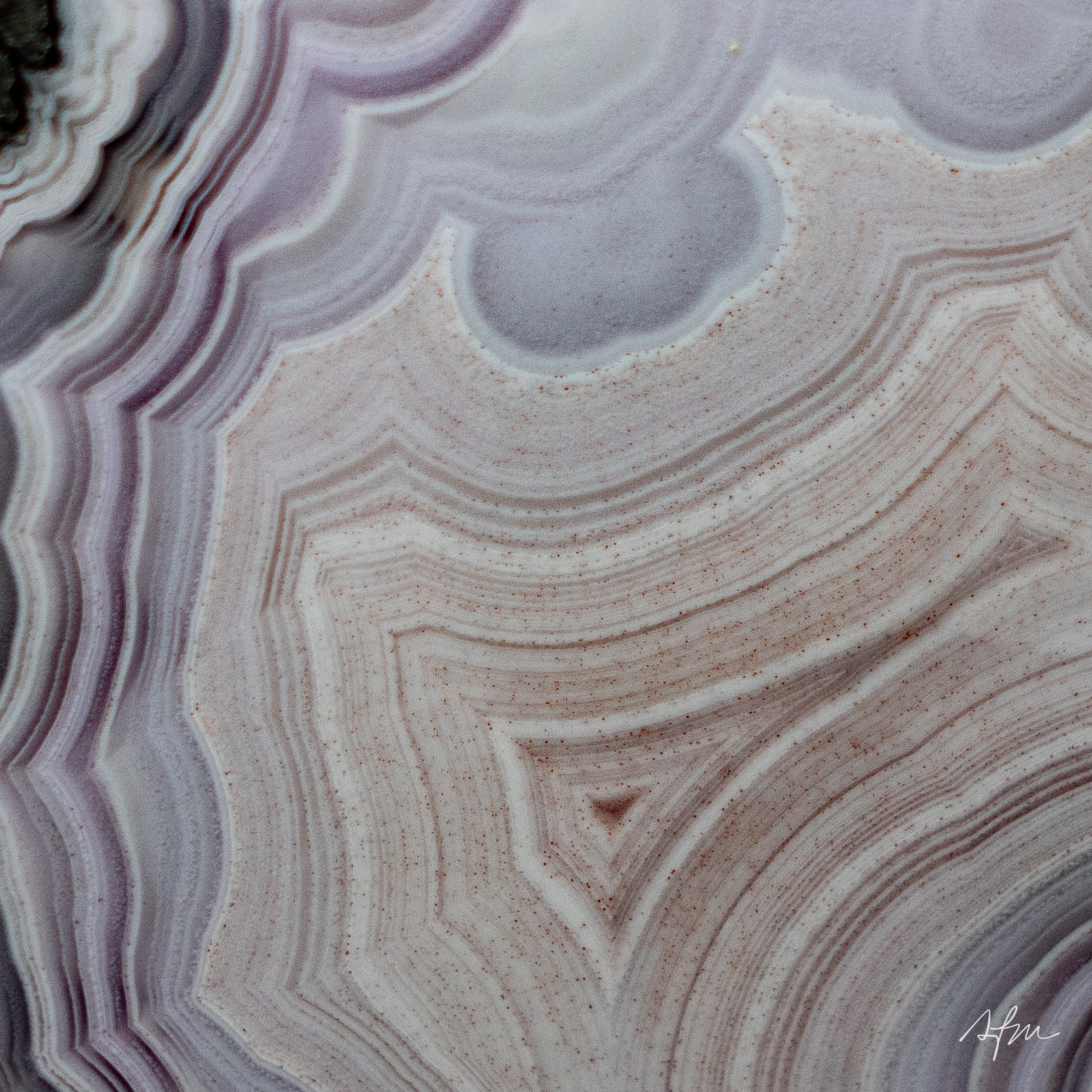 Auric - view 3