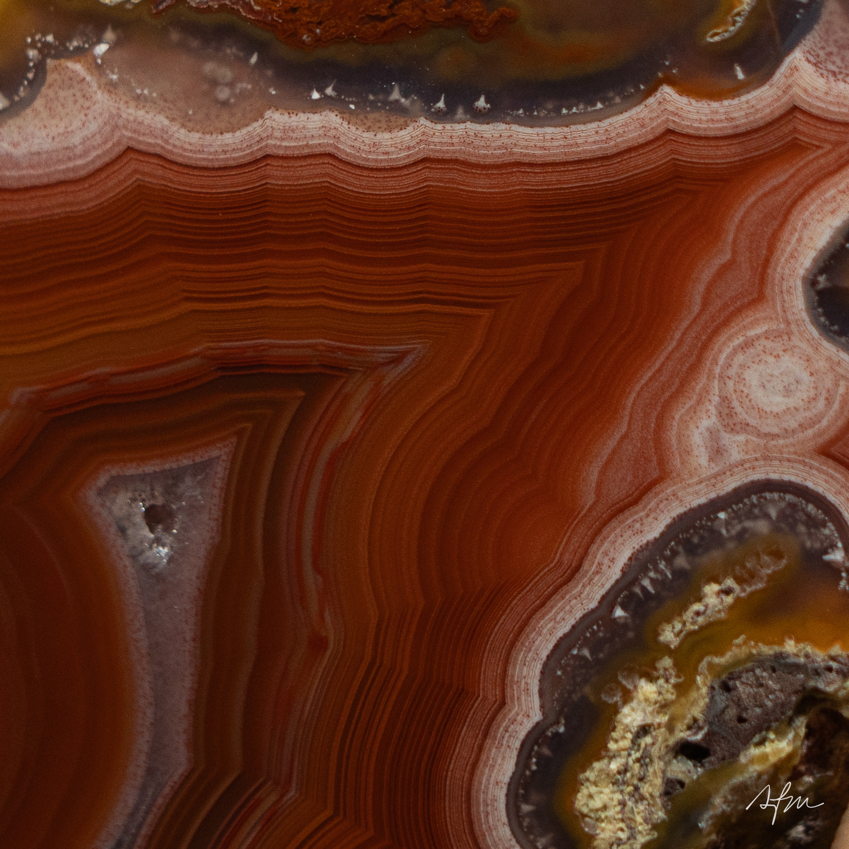 Arterial Trace - view 3