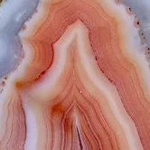 Flame Spine - view 4
