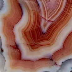 Flame Spine - view 5