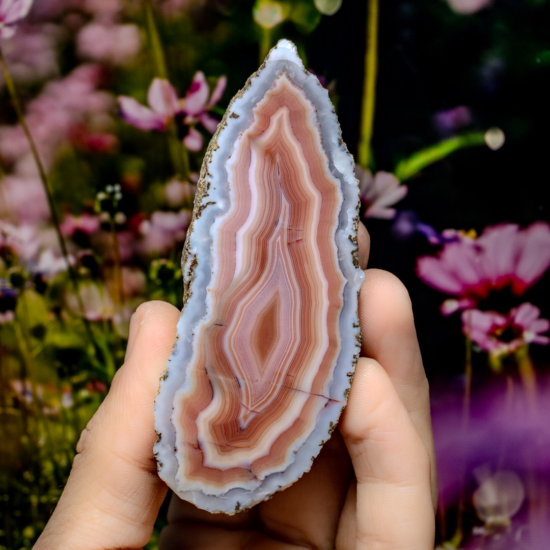 Flame Spine - view 2