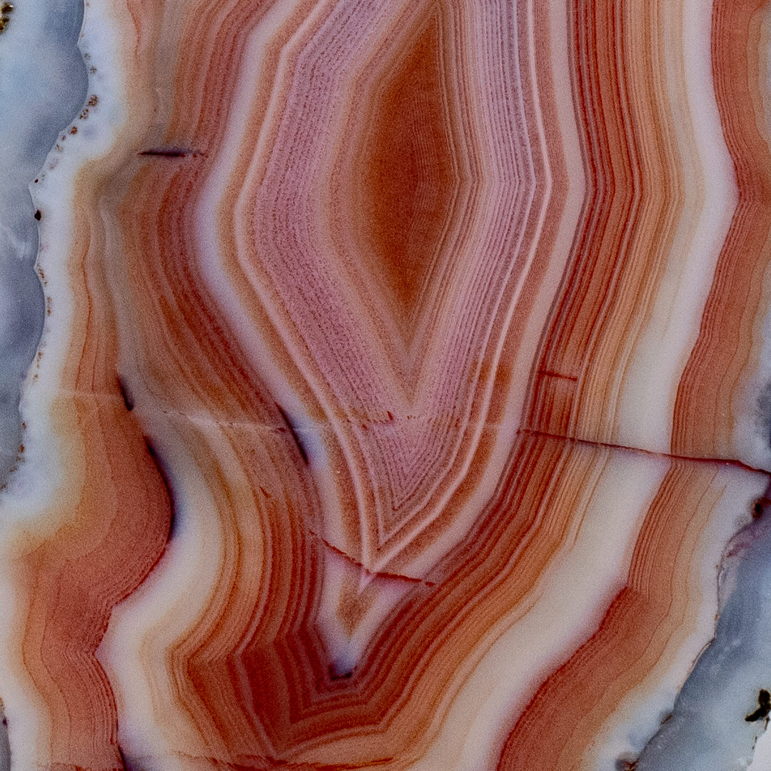 Flame Spine - view 3