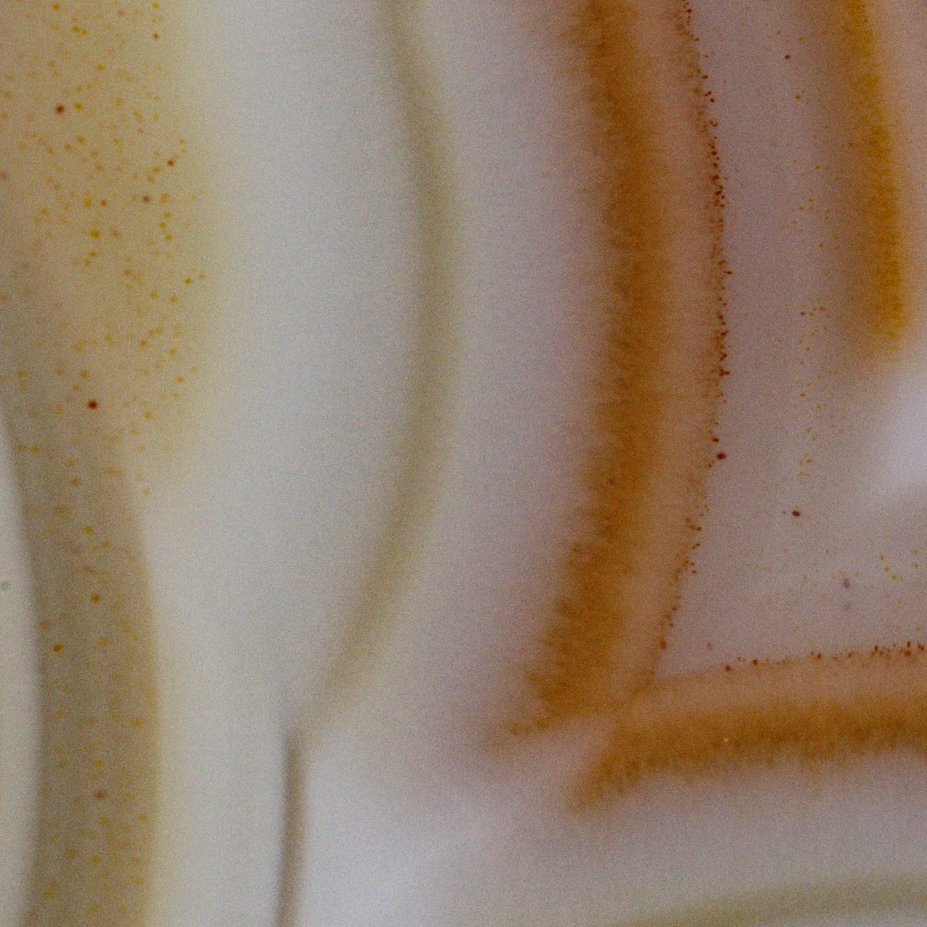 Celestial Core - view 4