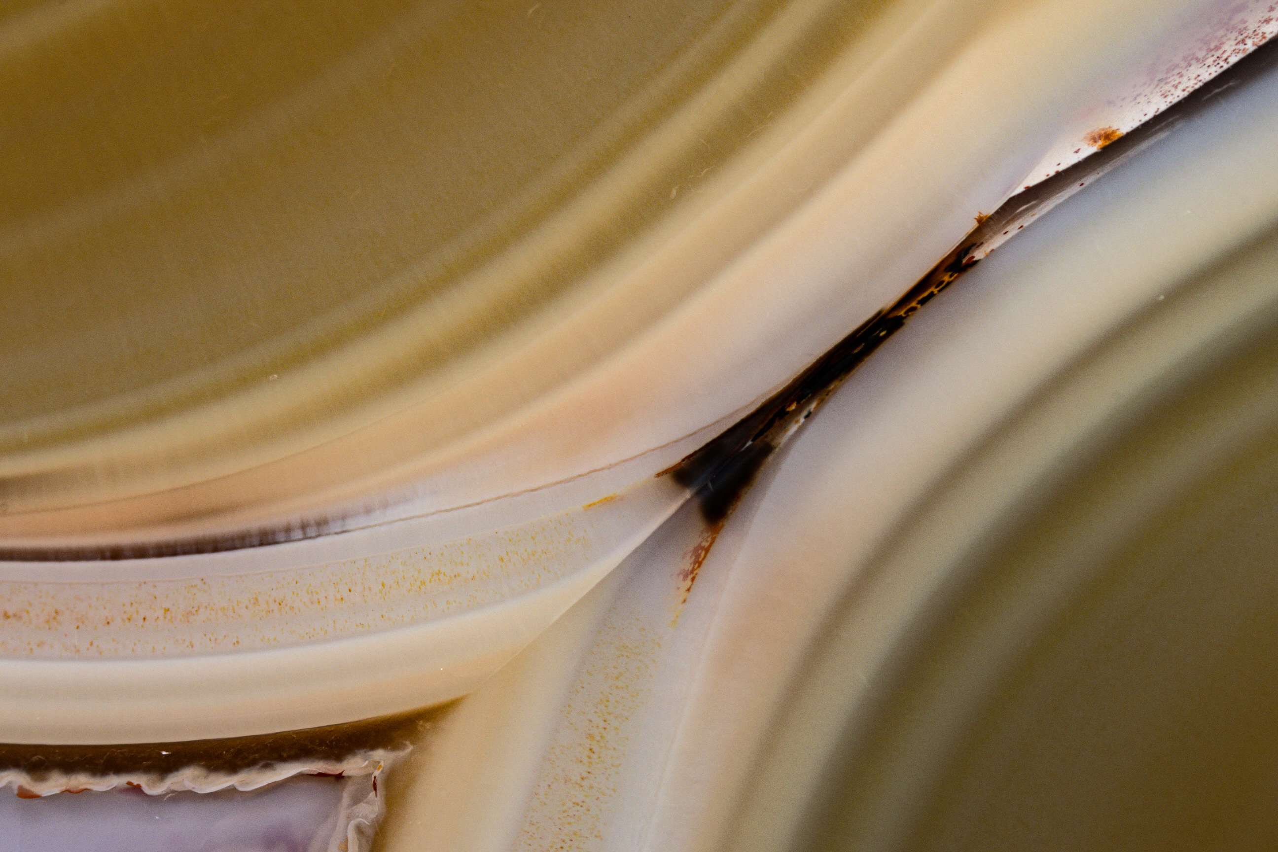 Canvas - view 3