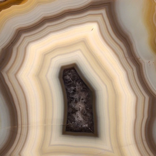Desert Pulse - view 5